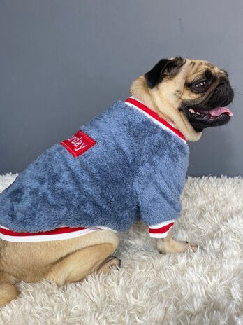 Pet sweater