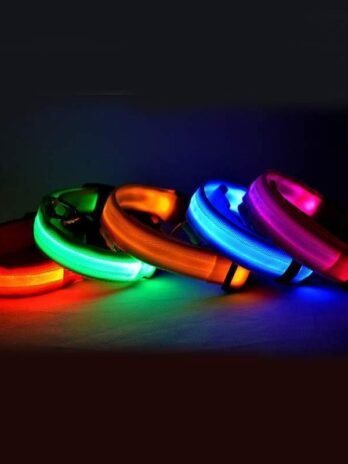 Nylon LED Pet Dog Luminous Collar Night Safety Flashing Glow in Dark Dog Cat Leash Adjustable Pet Supplies