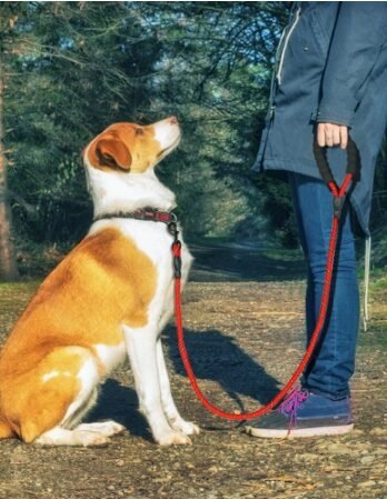 Reflective Dog Leash Nylon Pet Dog Leash Rope For Small Medium Large Dogs Walking Training Pet Suppiles