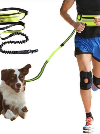 Hands Free Dog Leash Pet Walking And Training Belt With Shock Absorbing Bungee Leash For Up To 180lbs Large Dogs Phone Pocket And Water Bottle Holder