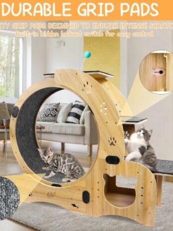 Cat Running Wheel With Silent Wheel