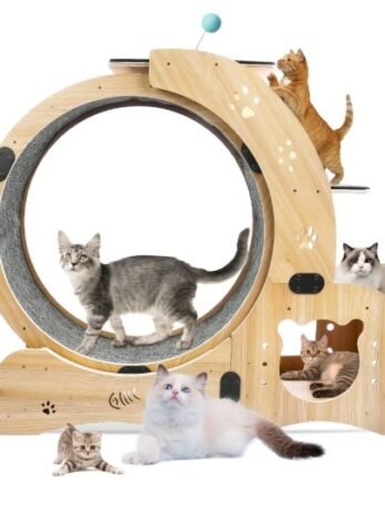 Cat Running Wheel With Silent Wheel