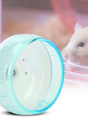 Hamster Fashion Personality Pet Toy Supplies