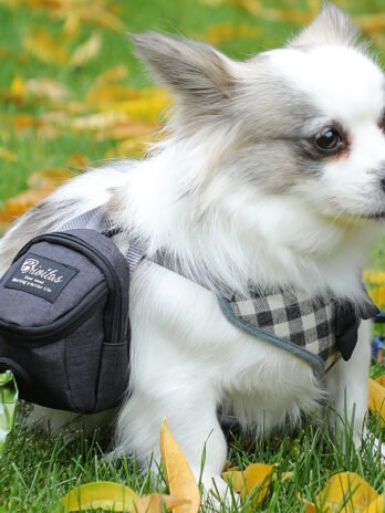 Fashion Personality Pet Supplies Dog Bag