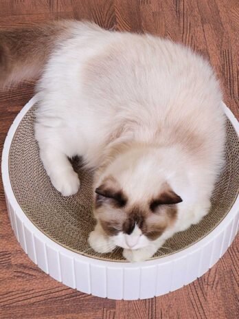 Cat Scratch Plate Round Pet Supplies